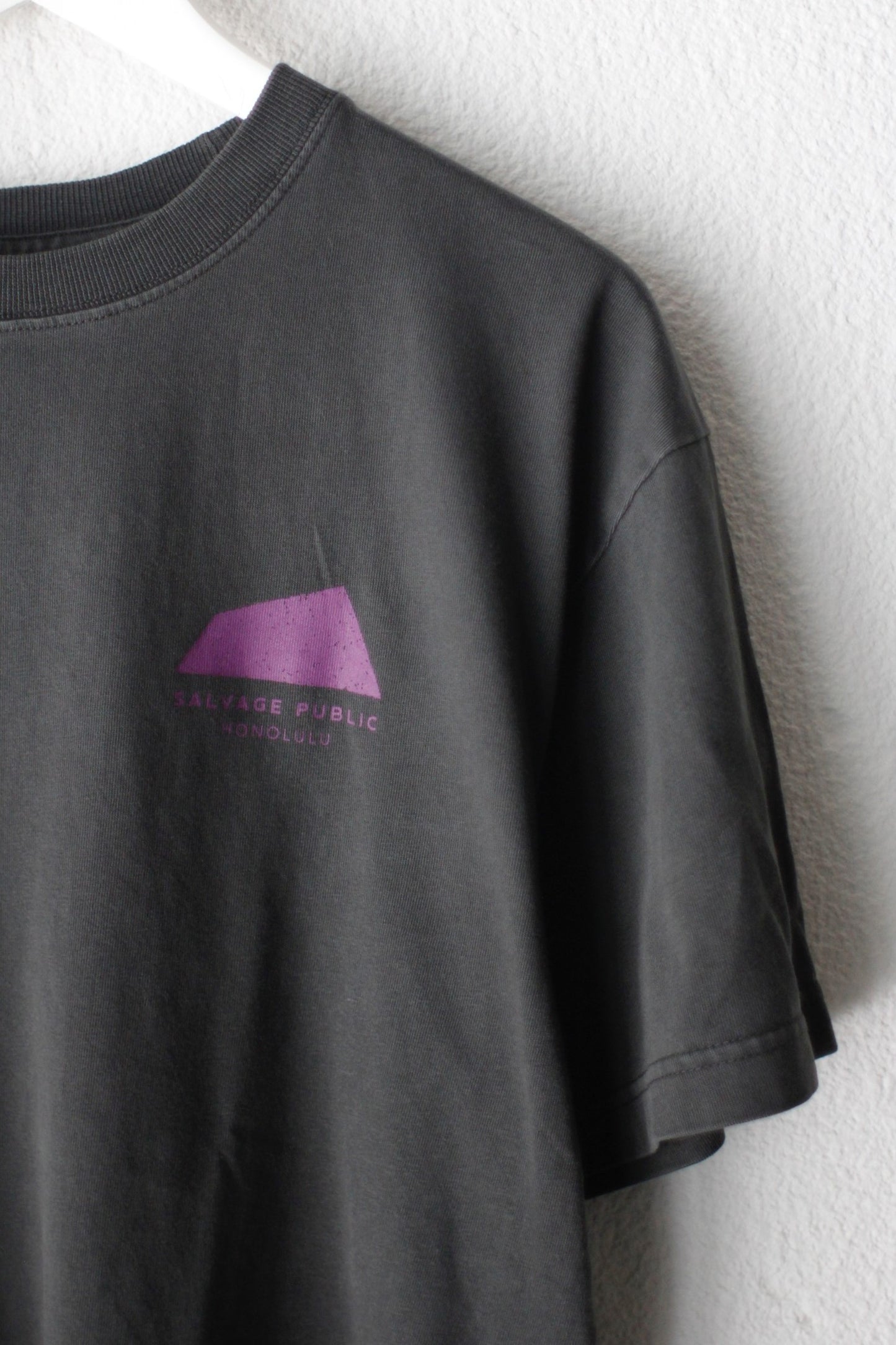 Pigment S/S Tee(PETROGLYPH)