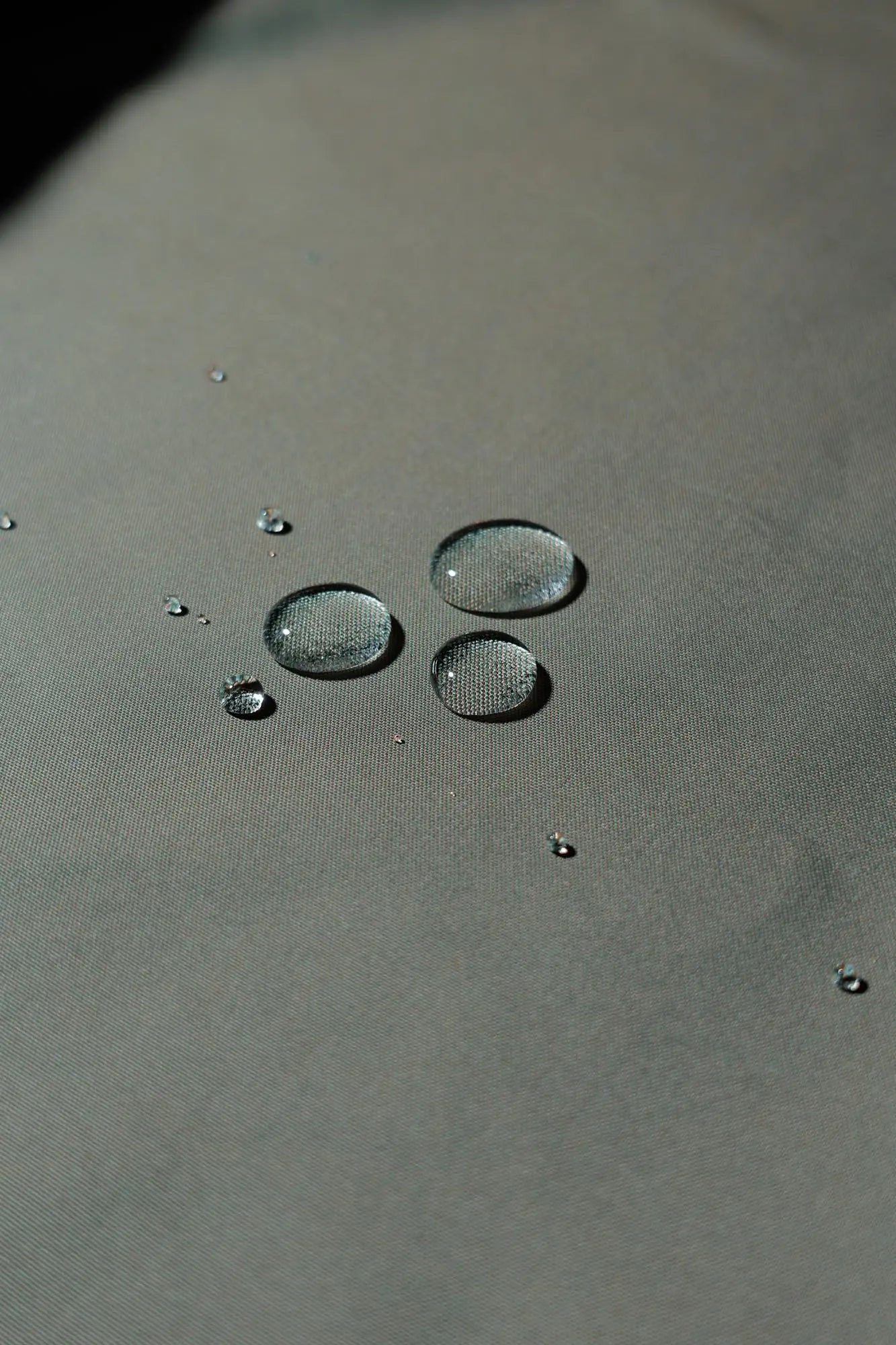 Griffith Coach Jacket