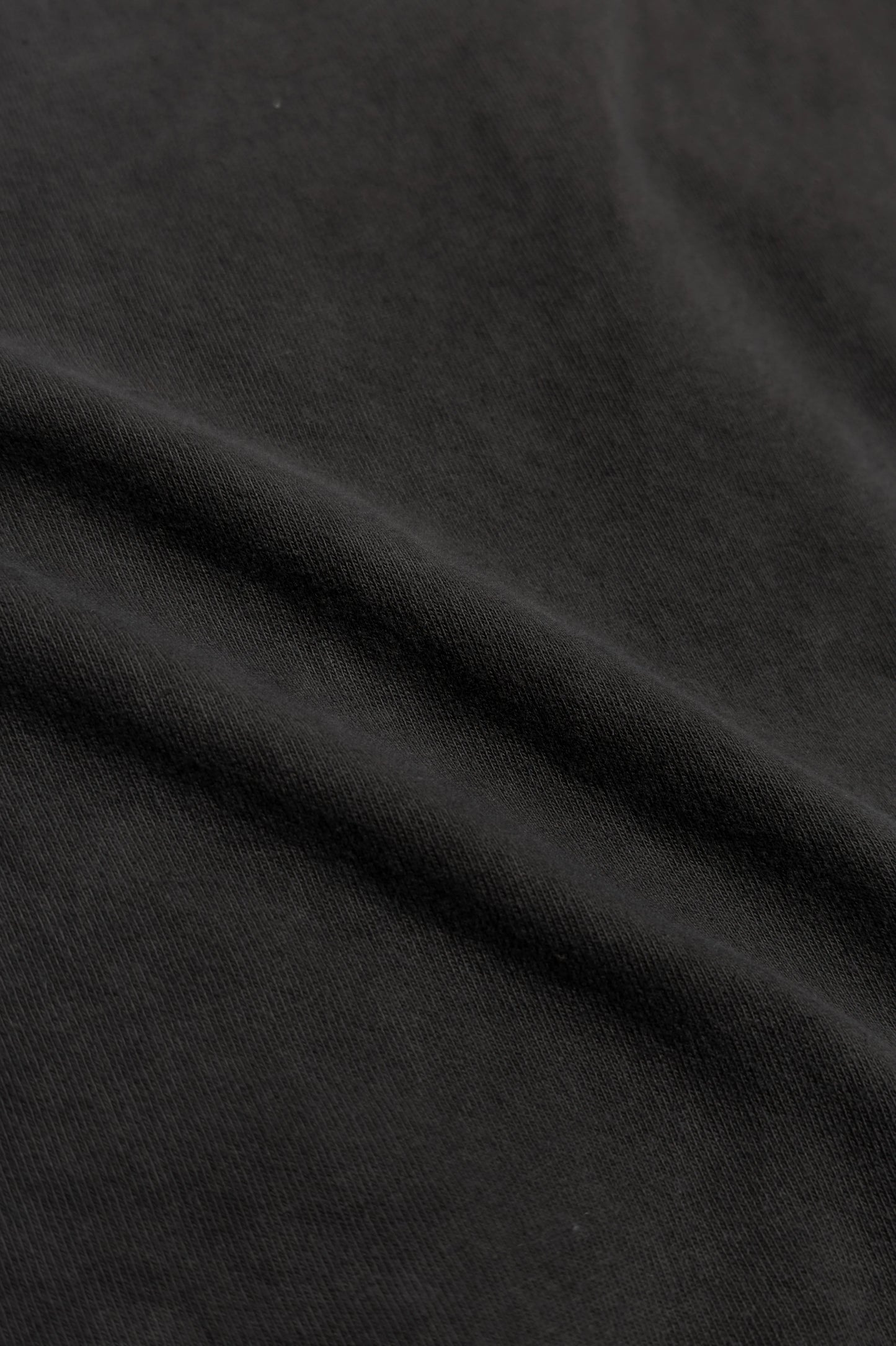 Pigment L/S Tee(Laua'e Border)