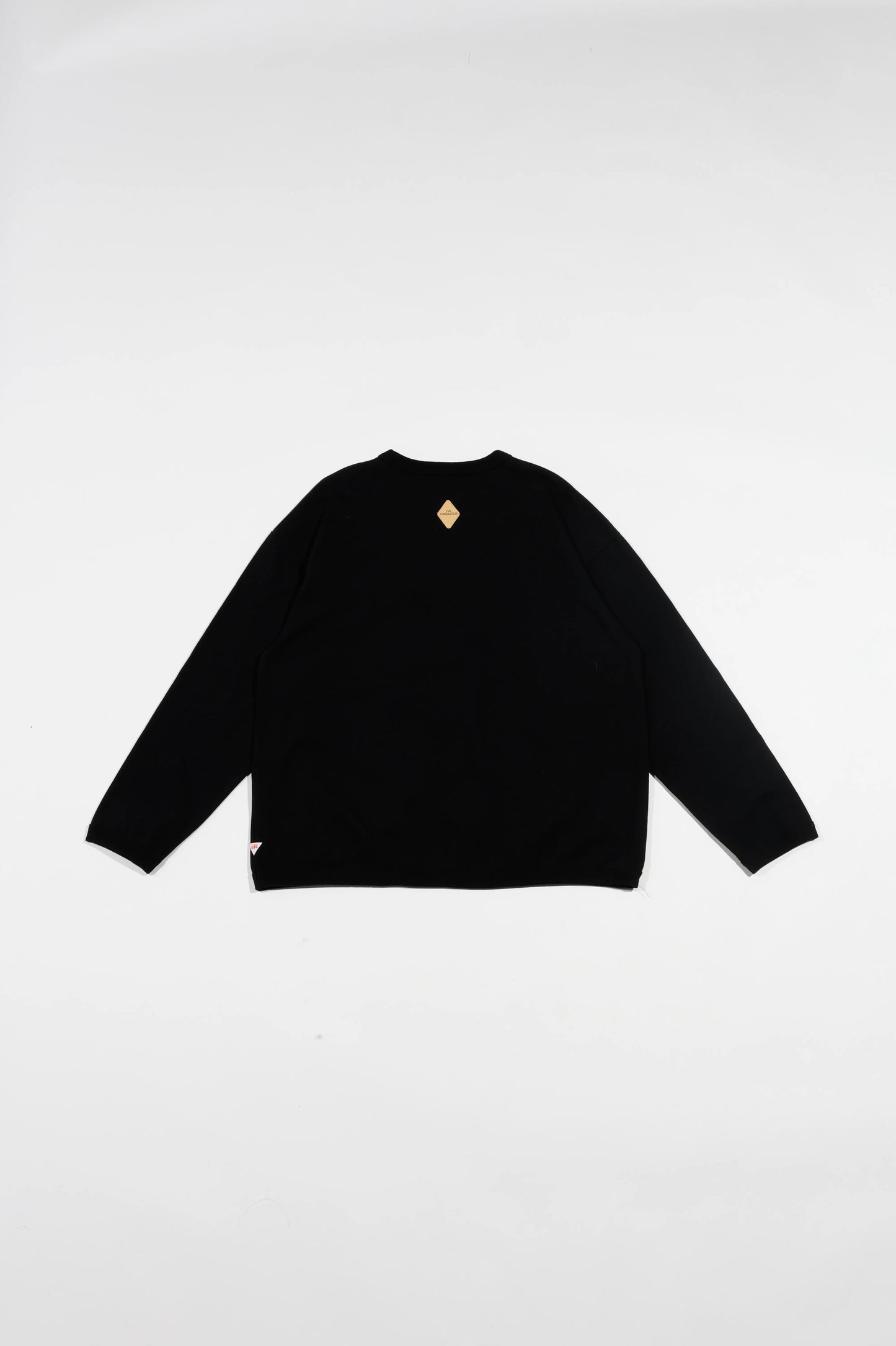 The American Ringer L/S【NEW Color!!!】