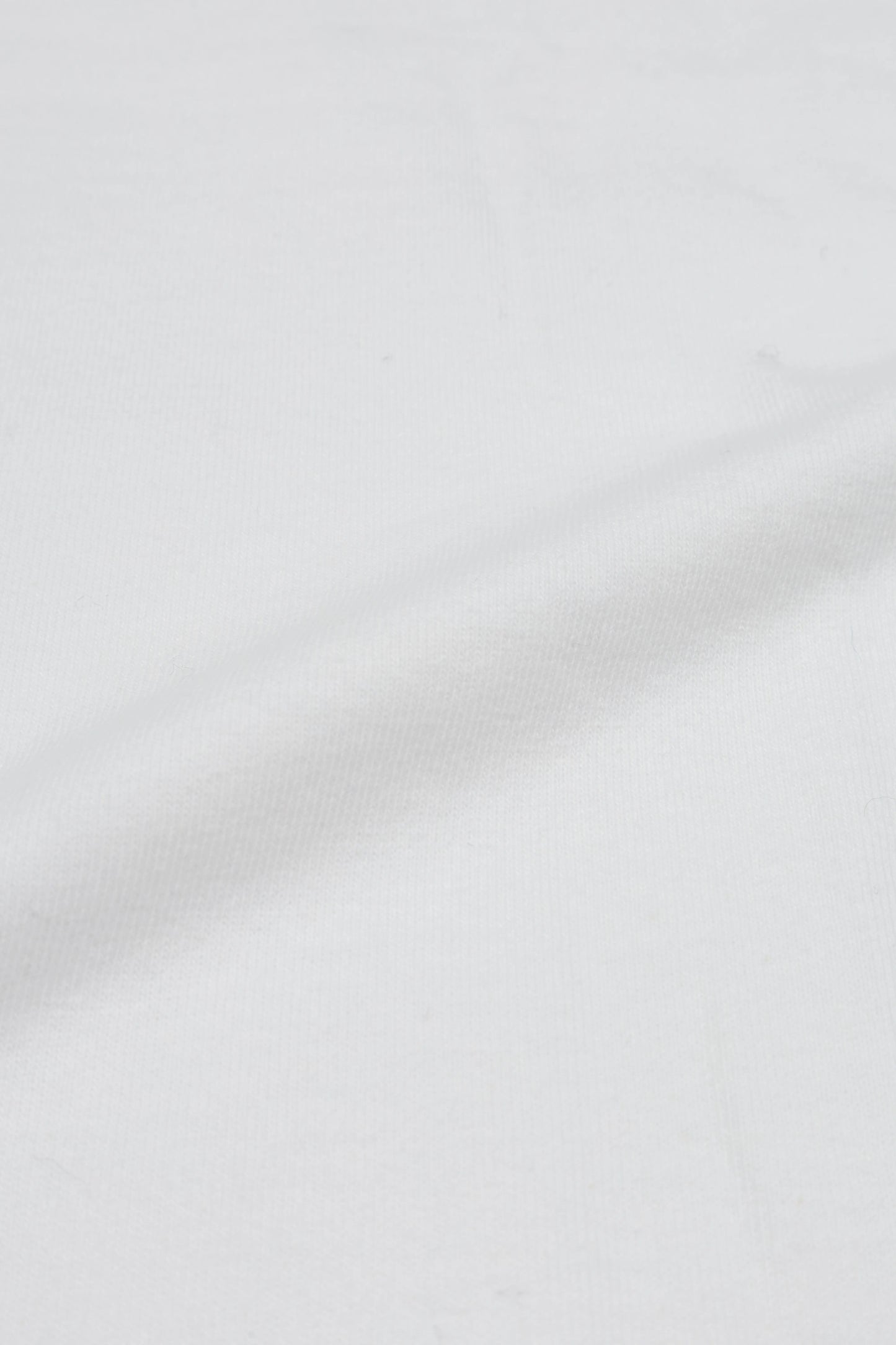 The American Ringer L/S【NEW Color!!!】