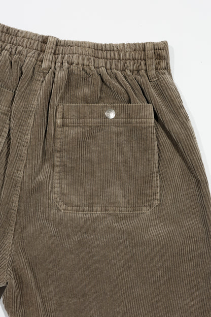 Carlsbad Shorts