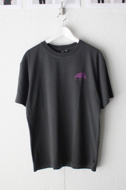 Pigment S/S Tee（PETROGLYPH）