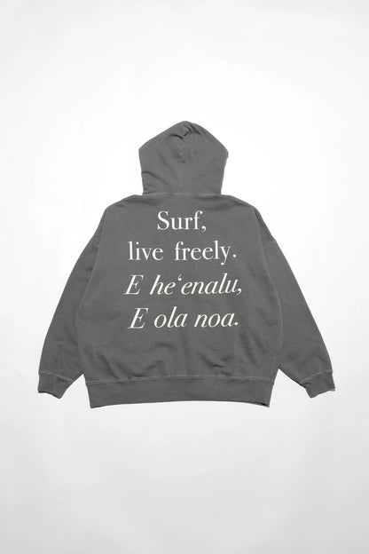 Pigment P/O Hoodie(Surf Live)
