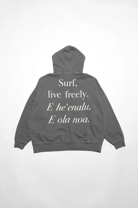 Pigment P/O Hoodie(Surf Live)