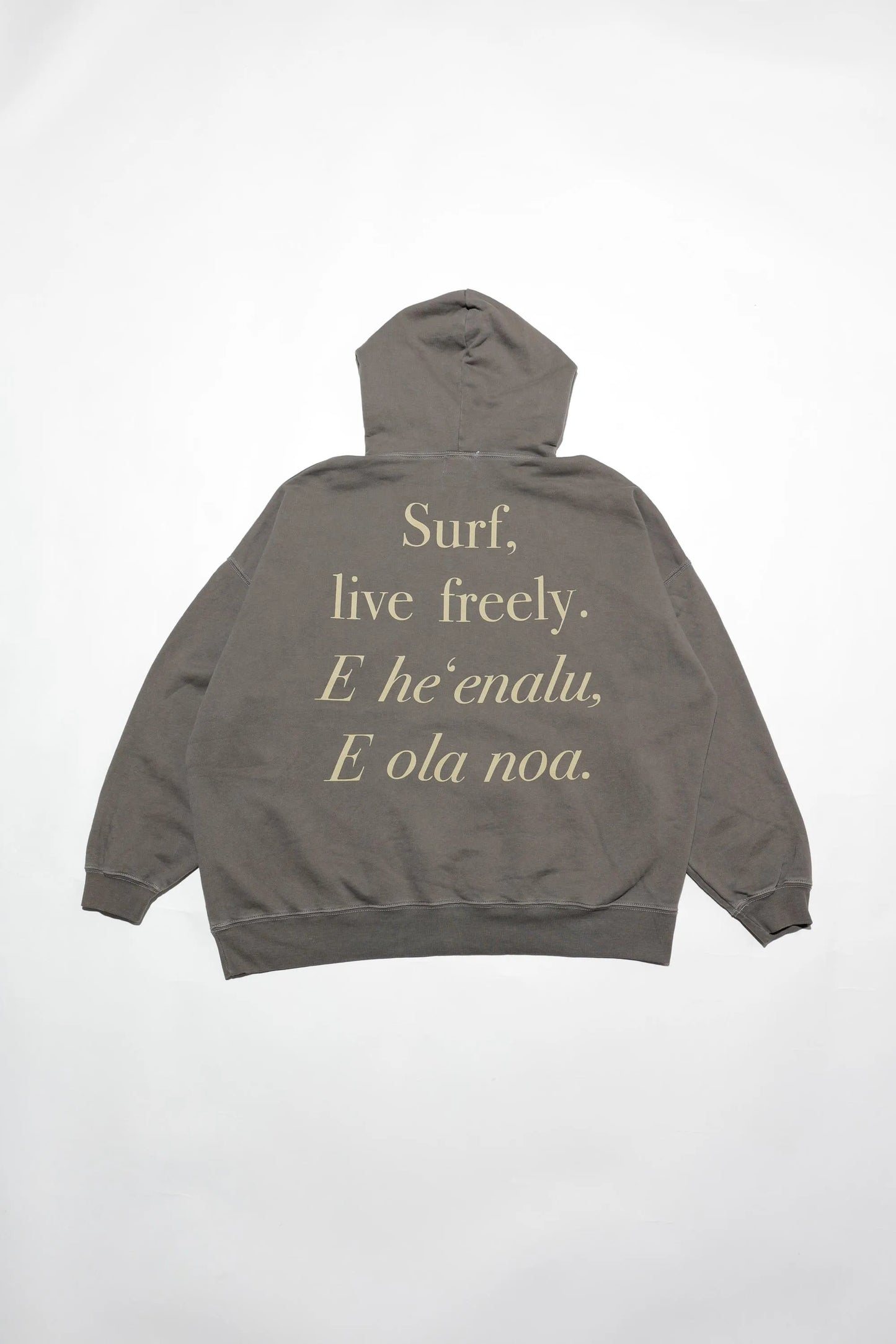 Pigment P/O Hoodie(Surf Live)
