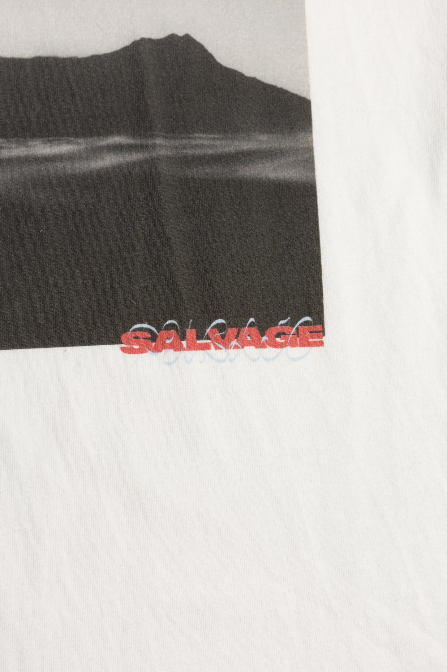 STANDARD S/S Tee(DH Photograph）